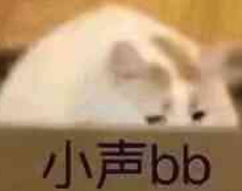 小声一点和小声讲话,意思是不是相同