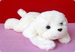 有太多的毛绒玩具加盟公司，漂亮宝贝毛绒玩具公司