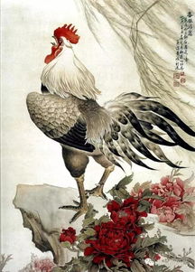 牝鸡司晨猜一生肖。