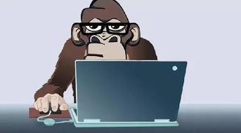 程序员有双休日吗？？