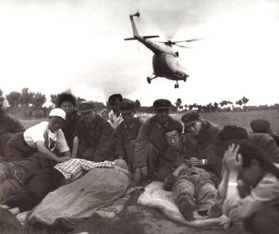 唐山大地震死了多少万人