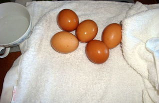 腌熟鸡蛋出油最好的方法 白酒