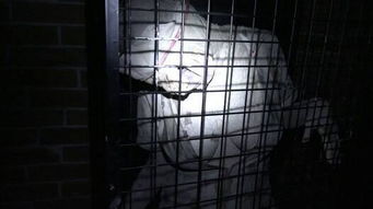 99年发生了什么大事件