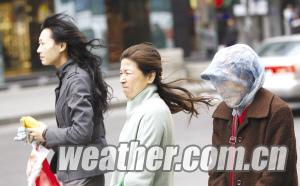 朱晓飞的获得成绩