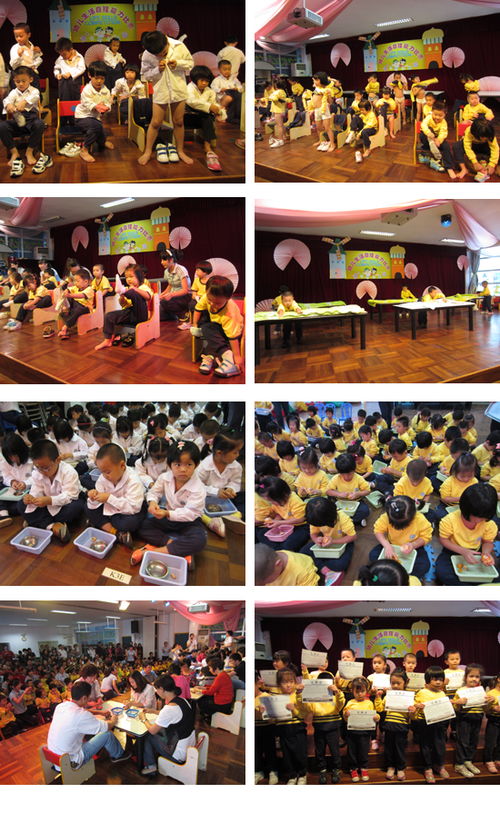 万圣节的活动有哪些？