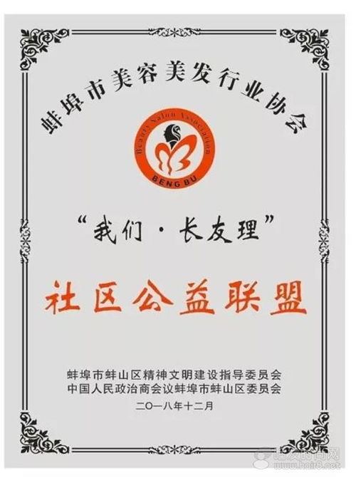 凝聚力是什么意思