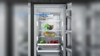 砸冰箱发生在哪家企业,砸冰箱的故事