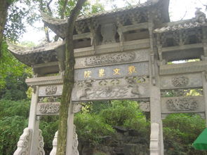 万松地板怎么样？家里装修用这个品牌好不好？