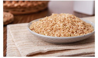 糙米是什么？它有什么功效？