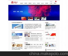 能学网站开发培训班去哪好？