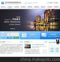 我想订阅  网站建设，网页设计方面的报纸！