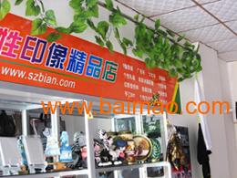 2012年最好赚钱的项目有哪些了？