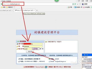 如何建立环境信息系统