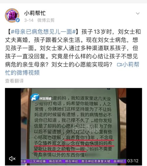 人工评判是什么意思