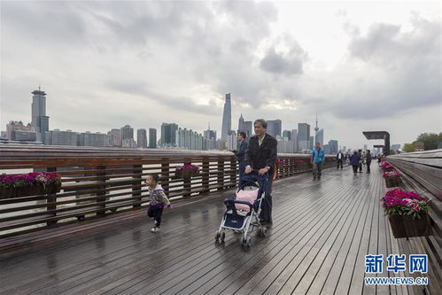 小康生活的标准是什么？