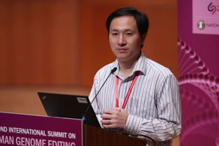 贺建奎的教育经历