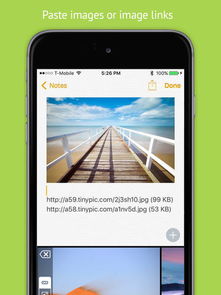 TinyPic 图片无法显示