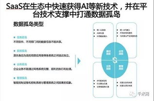 用户研究的内容