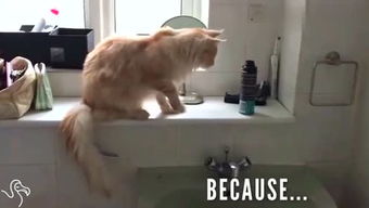 肤浅是什么意思？