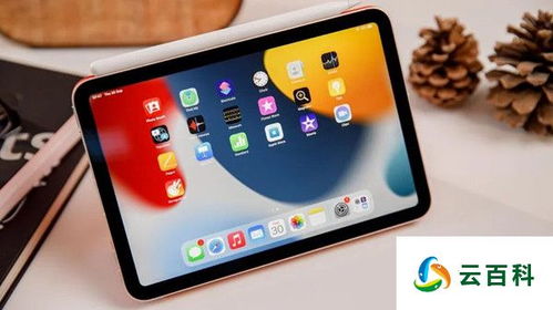 iPad是几寸的?