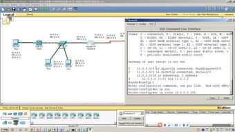 ping是什么 如何ping一个站点