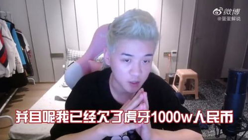 蛋蛋解说抄袭什么了？