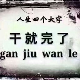 生死由命什么意思