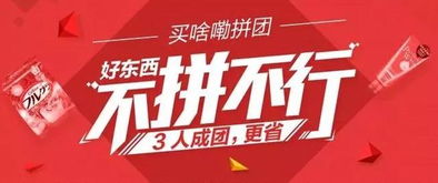 拼车拼团是什么意思？