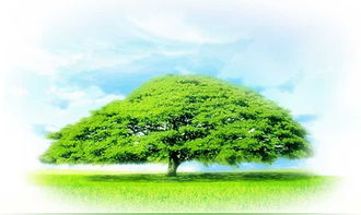 关于榕树下文学网