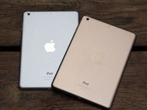 苹果ipadmini2二手价格,苹果ipadmini6参数配置