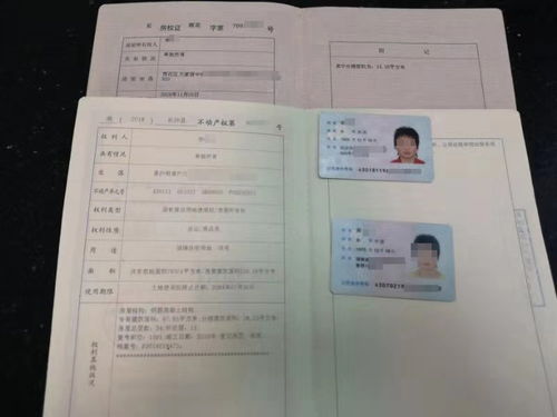 身份证号查名字软件,通过名字查询身份证号码