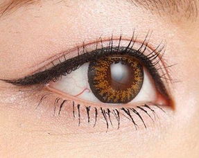 隐形眼镜什么品牌好,隐形眼镜排名前十