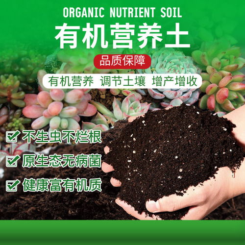 养花的营养土哪里买
