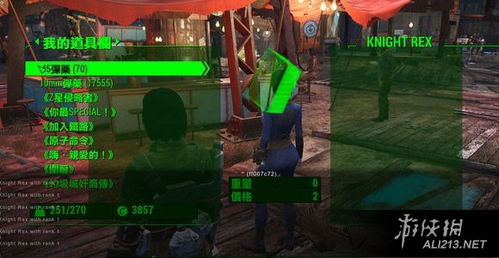 辐射4控制台怎么用 辐射4控制台打开方法介绍