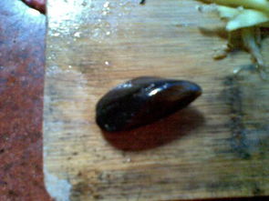 深圳有一个黑贝壳的电脑包品牌吗？