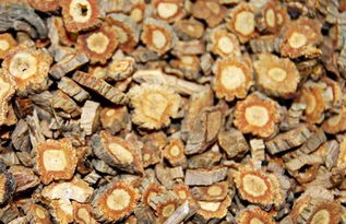 种植什么药材最赚钱