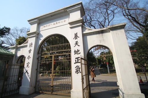 上海东吴大学现在叫什么大学