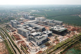 澄迈网站建设公司,澄迈信息网