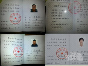 领队证和导游证的区别