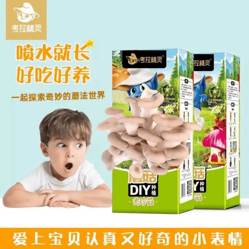 好奇号 博物 杂志哪个好,好奇号 杂志