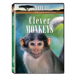 聪明的猴子作文四年级351个