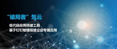 有用过百宝云、氚云、轻流这三家的私有云部署定制