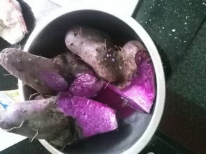 红薯需要蒸多长时间能熟