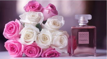 女士香水品牌有哪些？