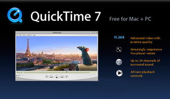 QuickTime Player是播放什么格式的文件的