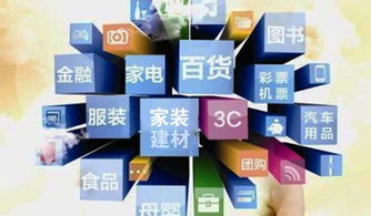 什么叫垂直电商