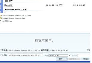 igs是什么什么文件