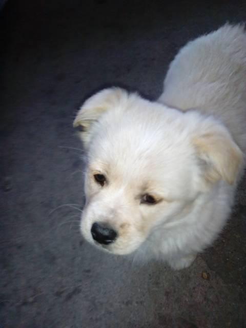 准备就绪是什么意思?，准备就绪的意思是什么意思