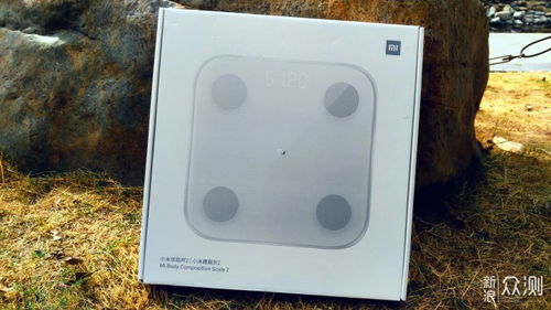 小米体脂秤怎么看体脂