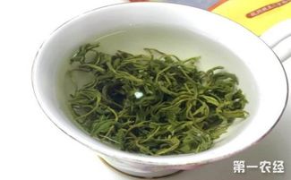 峨眉毛峰是什么茶